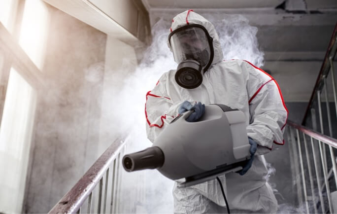 Mold Remediation Mold Remediation Lancaster