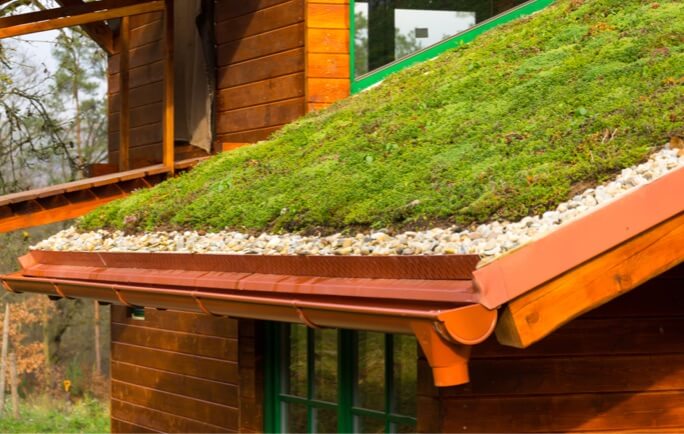 Green Roof Green Roof lancaster