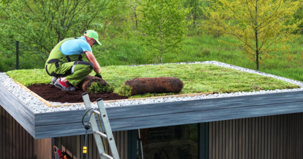 Green Roof Green Roof lancaster