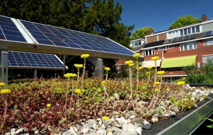 Green Roof Green Roof lancaster