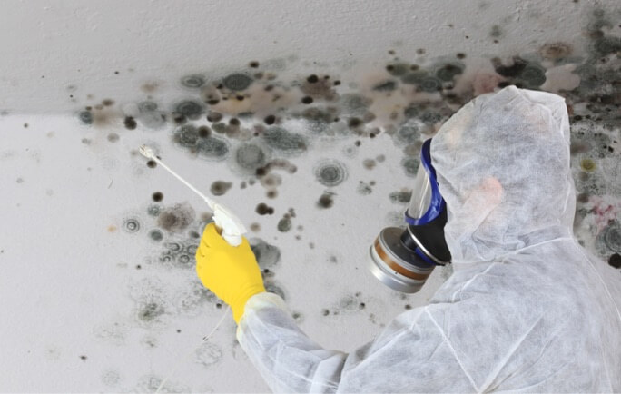 Mold Remediation Mold Remediation Lancaster