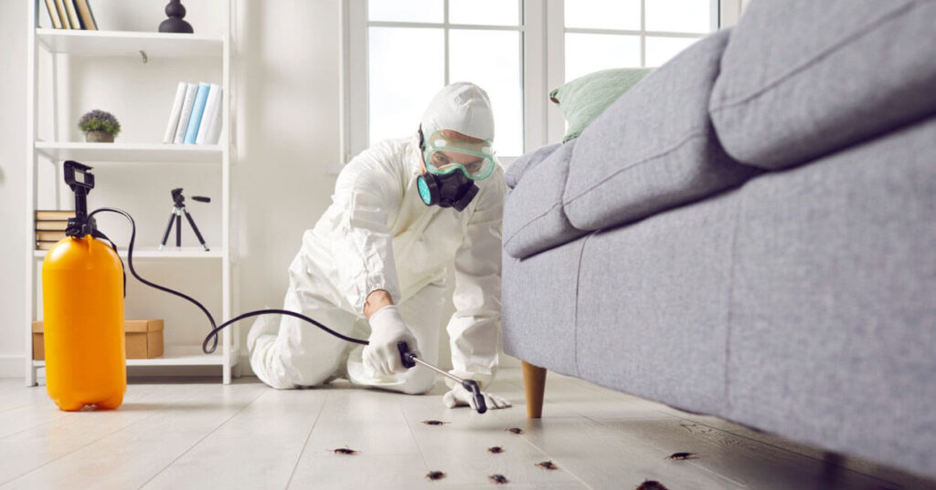 Pest Control Pest Control Lancaster