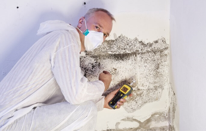 Mold Remediation Mold Remediation Long Beach