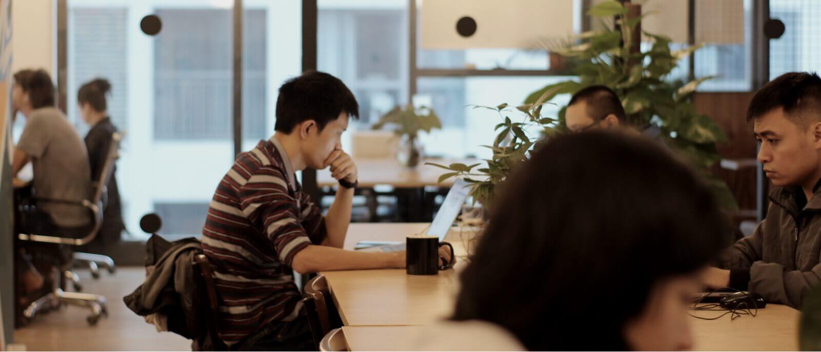 a row of employees working in an open-place office space