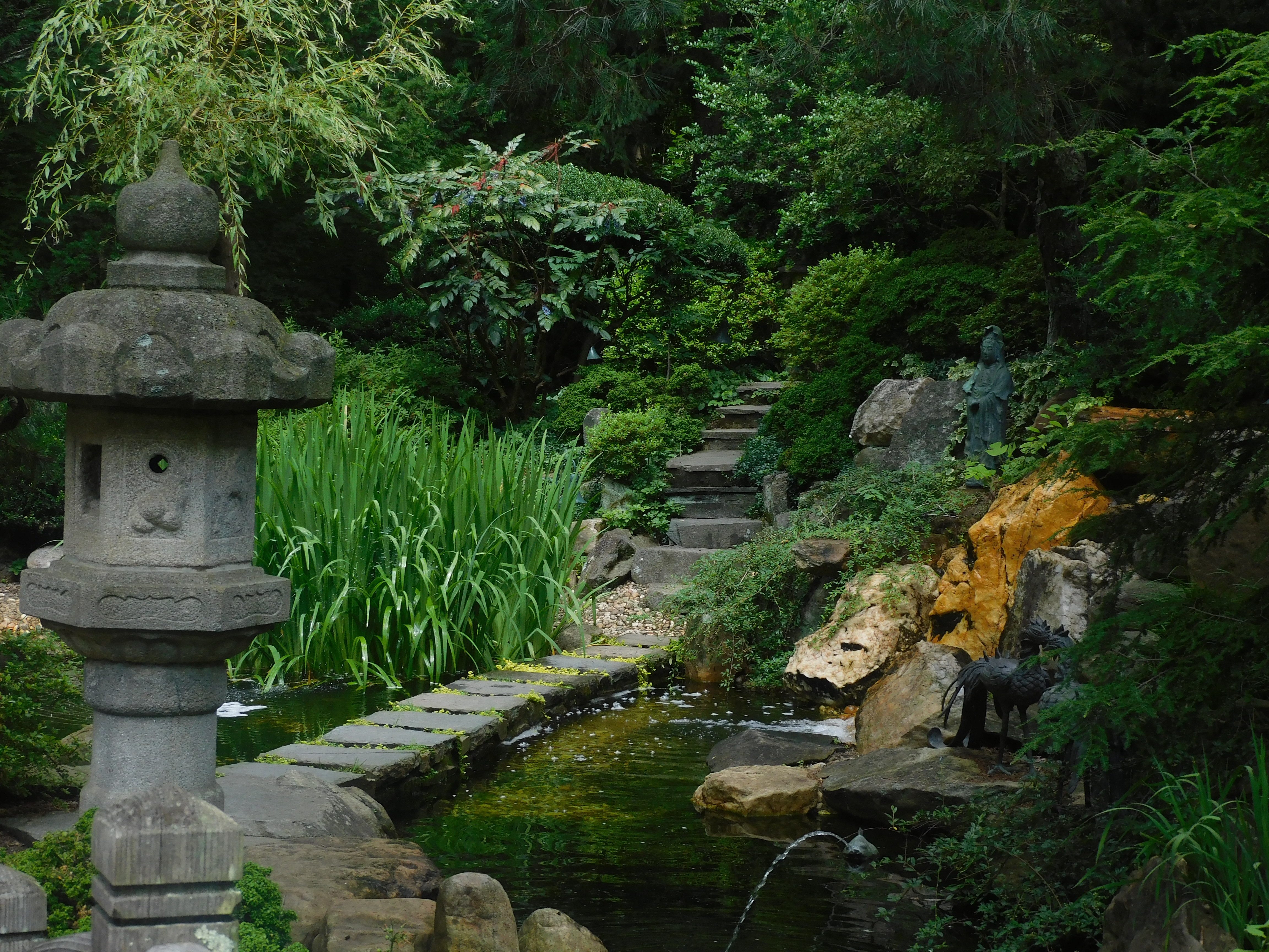 green moss on gray concrete fountain